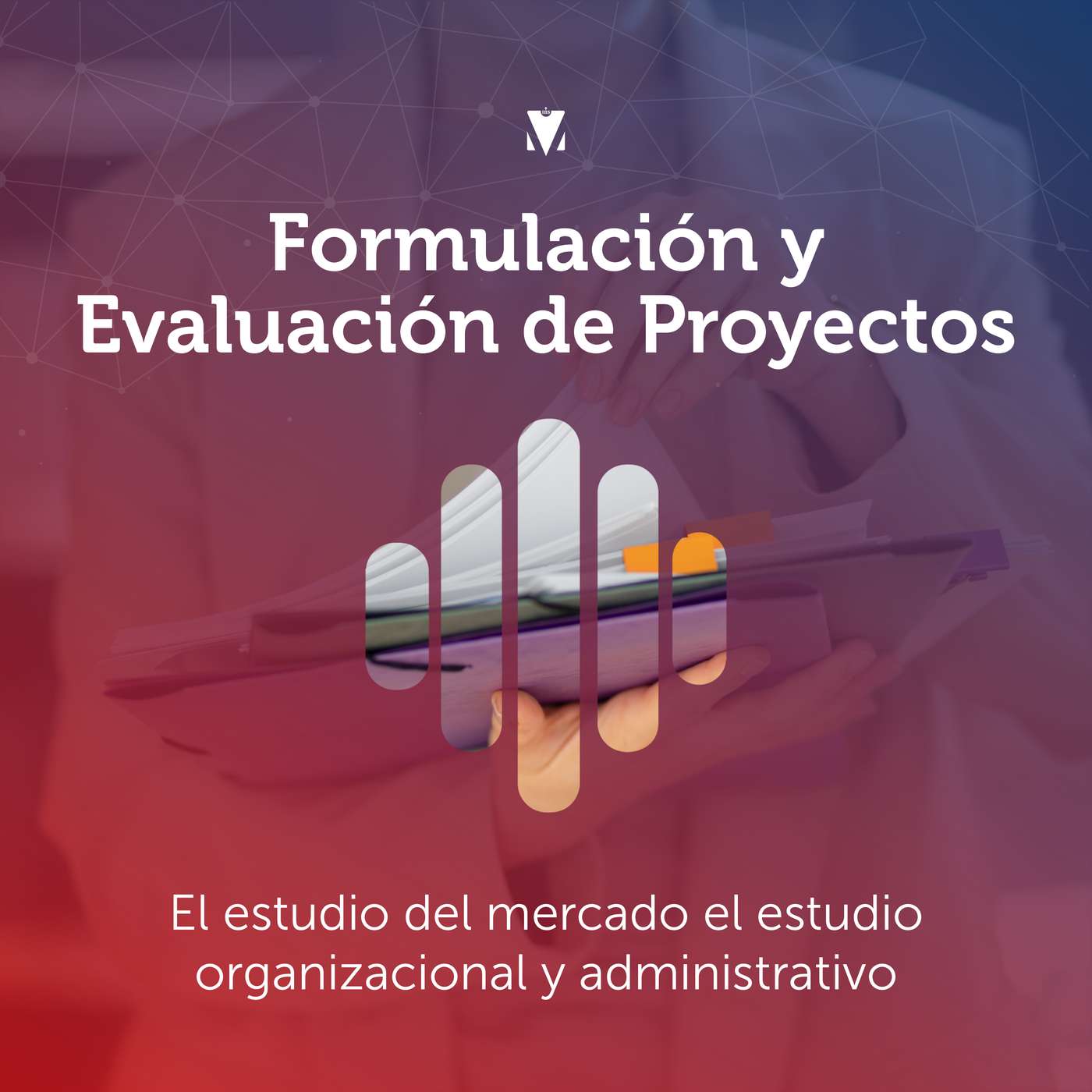 3 - FORMULACIÓN Y EVALUACIÓN DE PROYECTOS: El estudio del mercado el estudio organizacional y administrativo