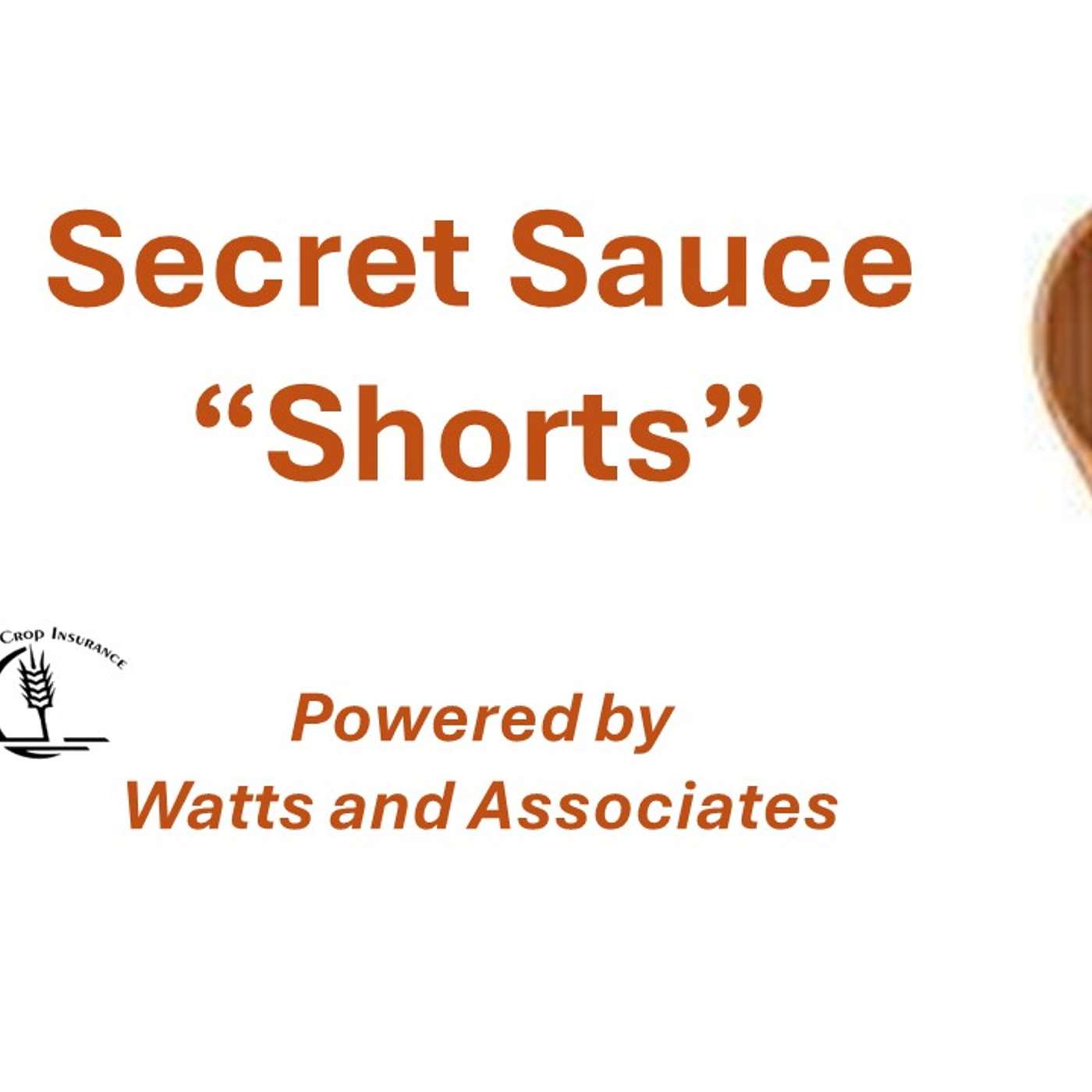 Secret Sauce Series Short - Asking for 10 year history - Brittani McEvoy episode artwork