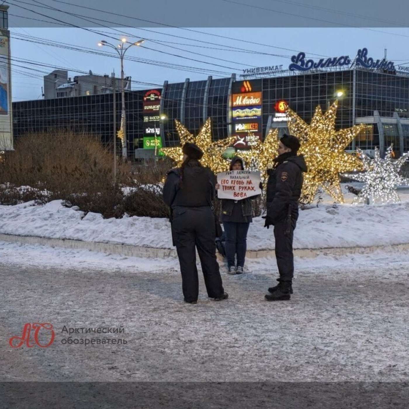 Три задержания за 12 дней. История активистки Виктории Нагорных из Мурманска