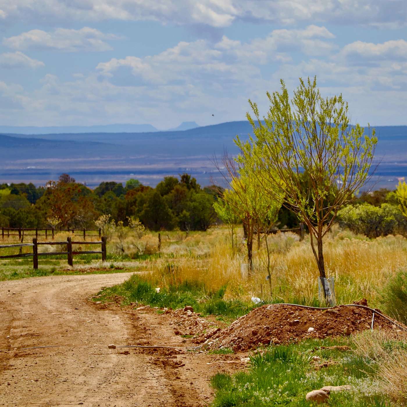 Why I Got The Covid - 19 Shot / Musing Along The Rim Road With James Navé episode artwork