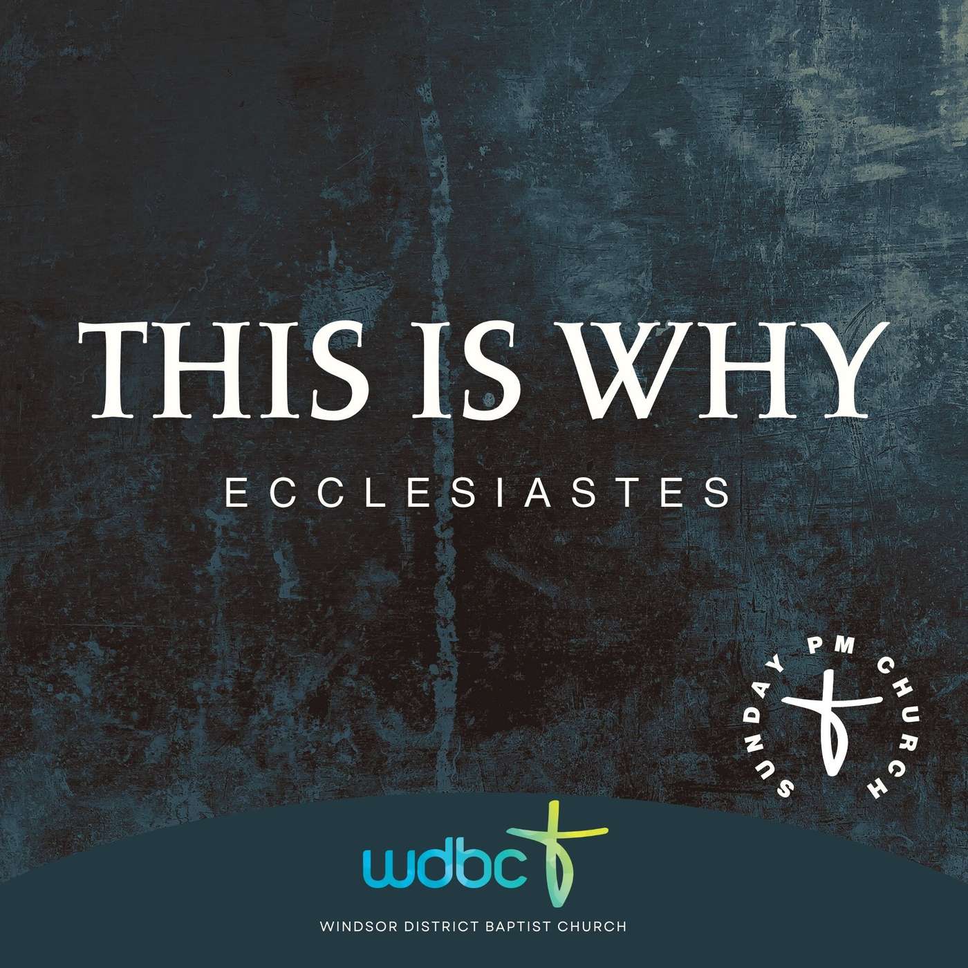 This is Why #2 | Why Bother Learning? Why We Seek God episode artwork