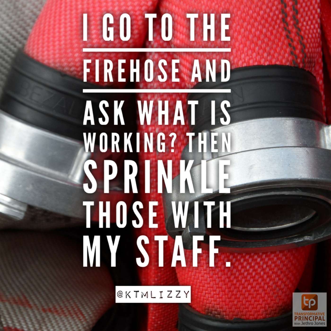 Transformative Principal