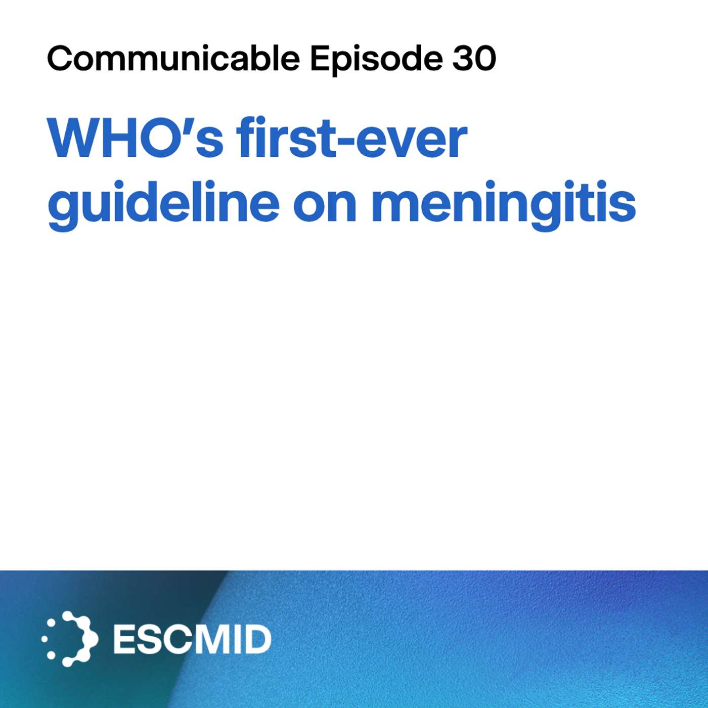 Communicable E30: WHO's first-ever guideline on meningitis