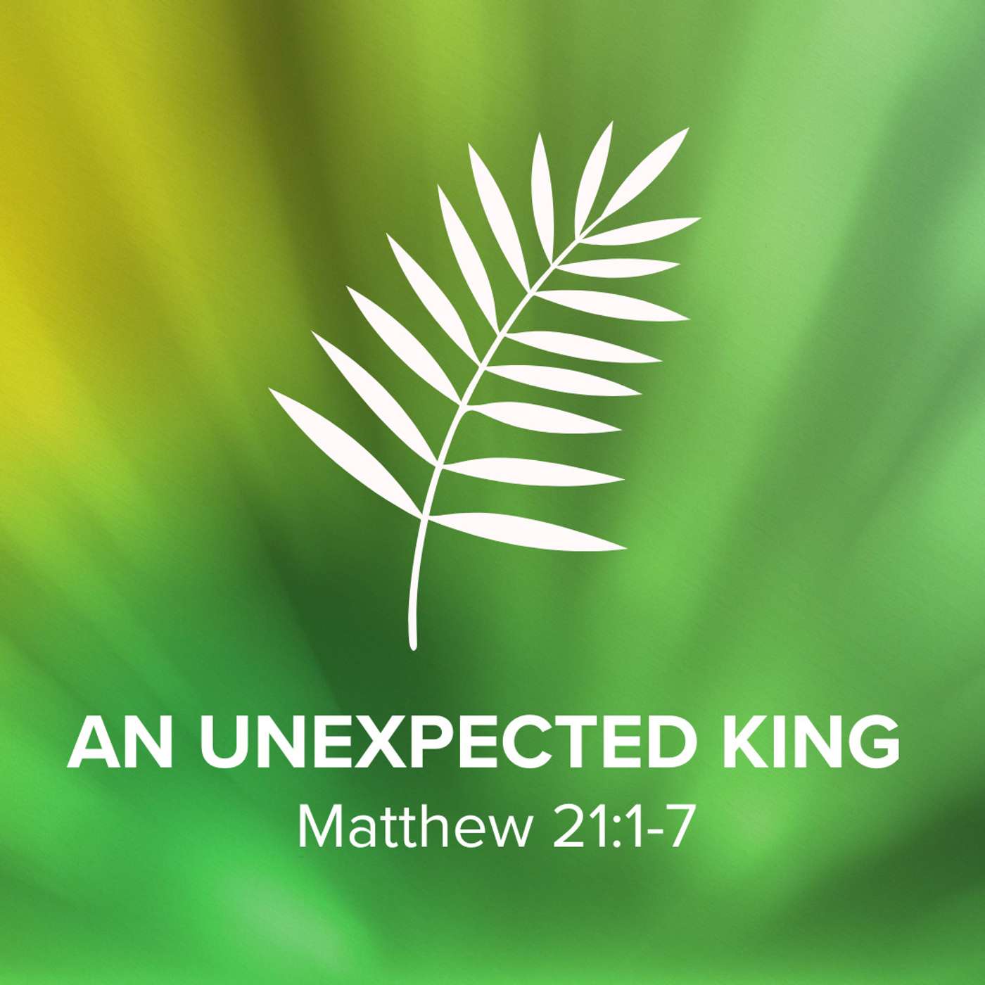 Jesus on Every Page; An Unexpected King episode artwork