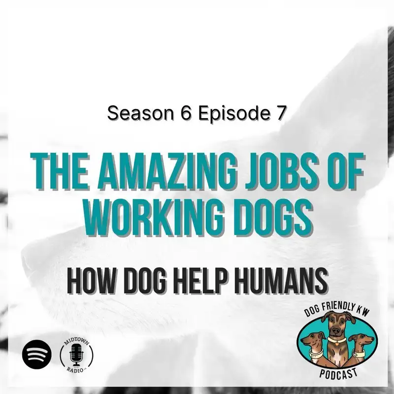 Dog Friendly KW: Exploring the MANY JOBS of working dogs