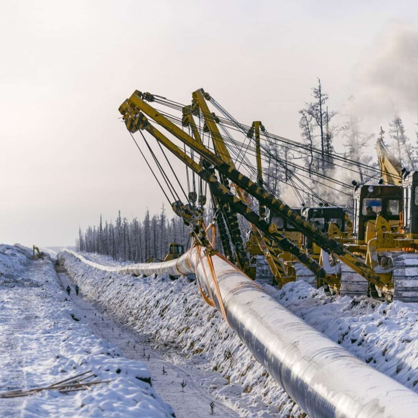 Газопровод в Мурманск построит «Новатэк»