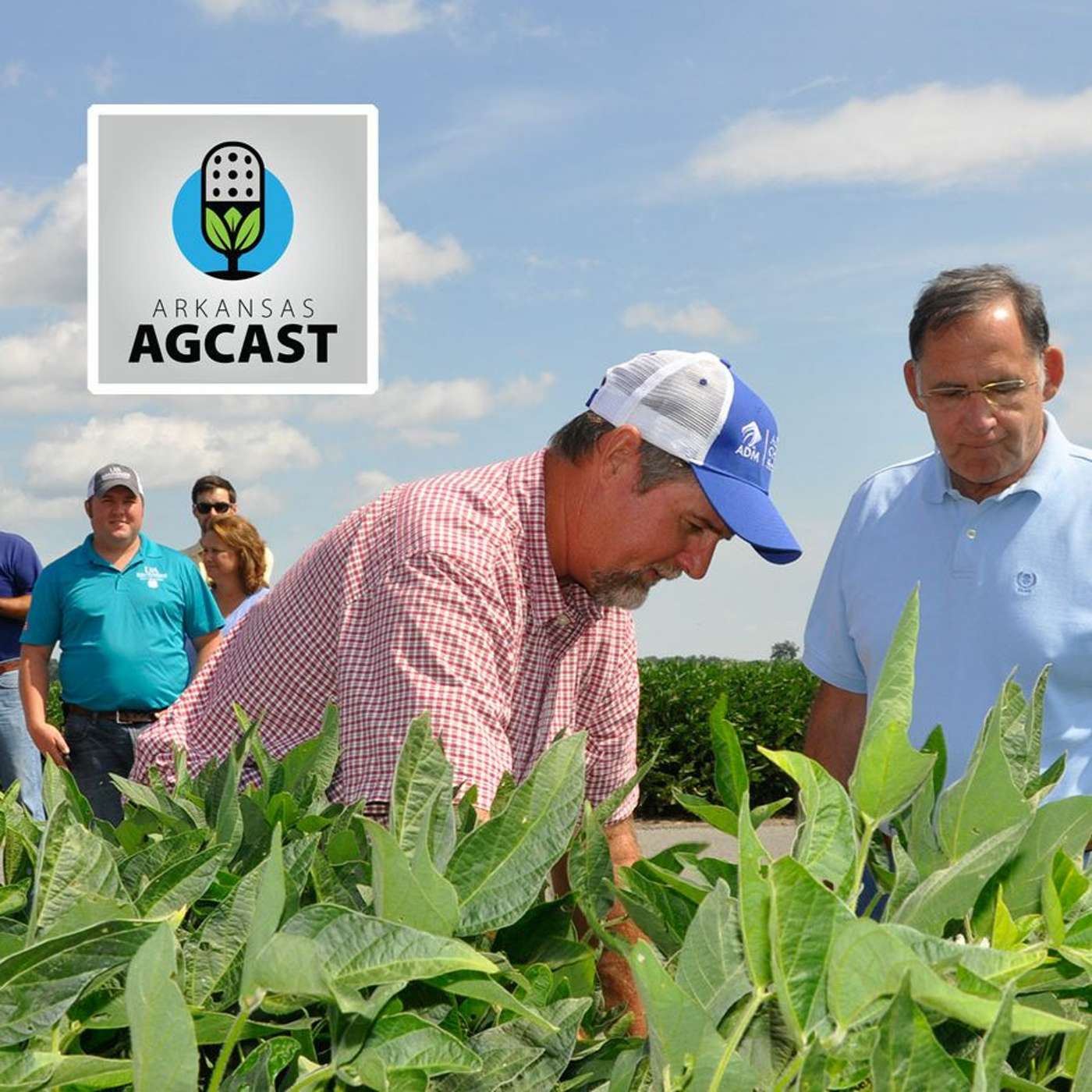 Arkansas AgCast
