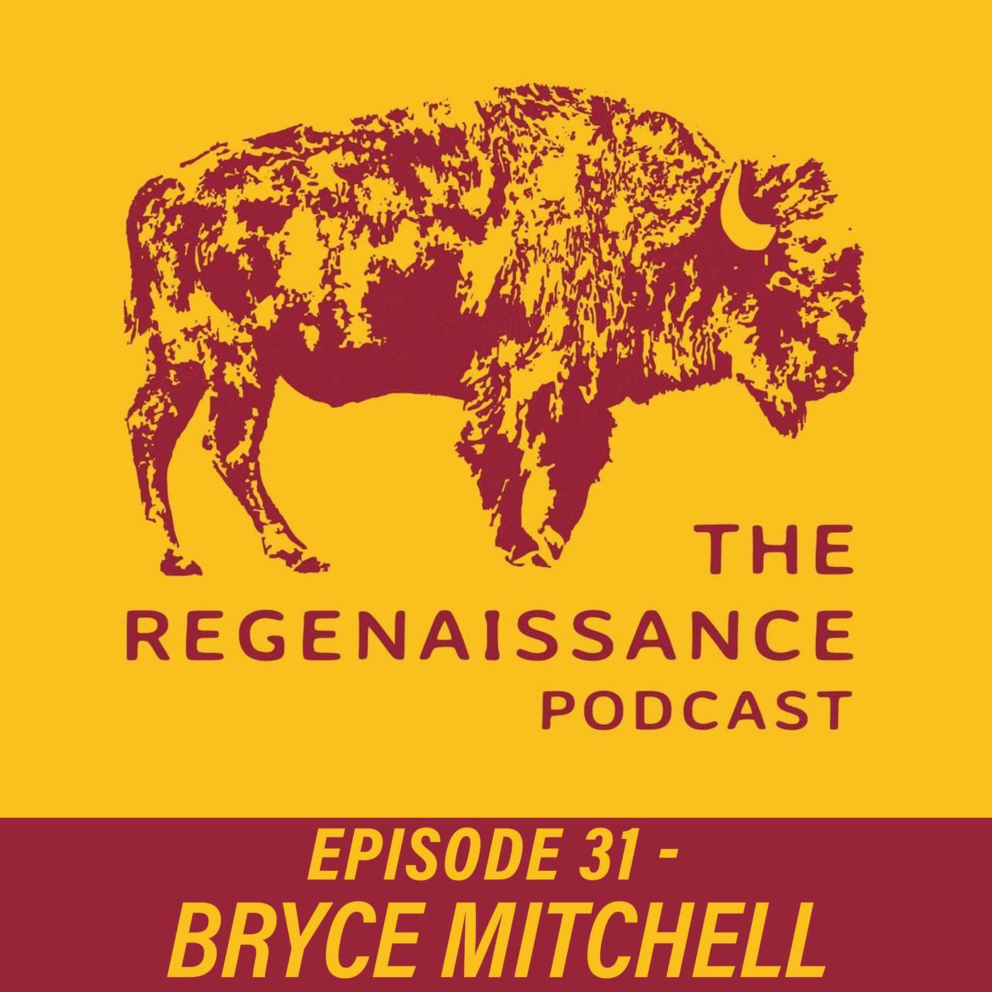 The Regenaissance Podcast