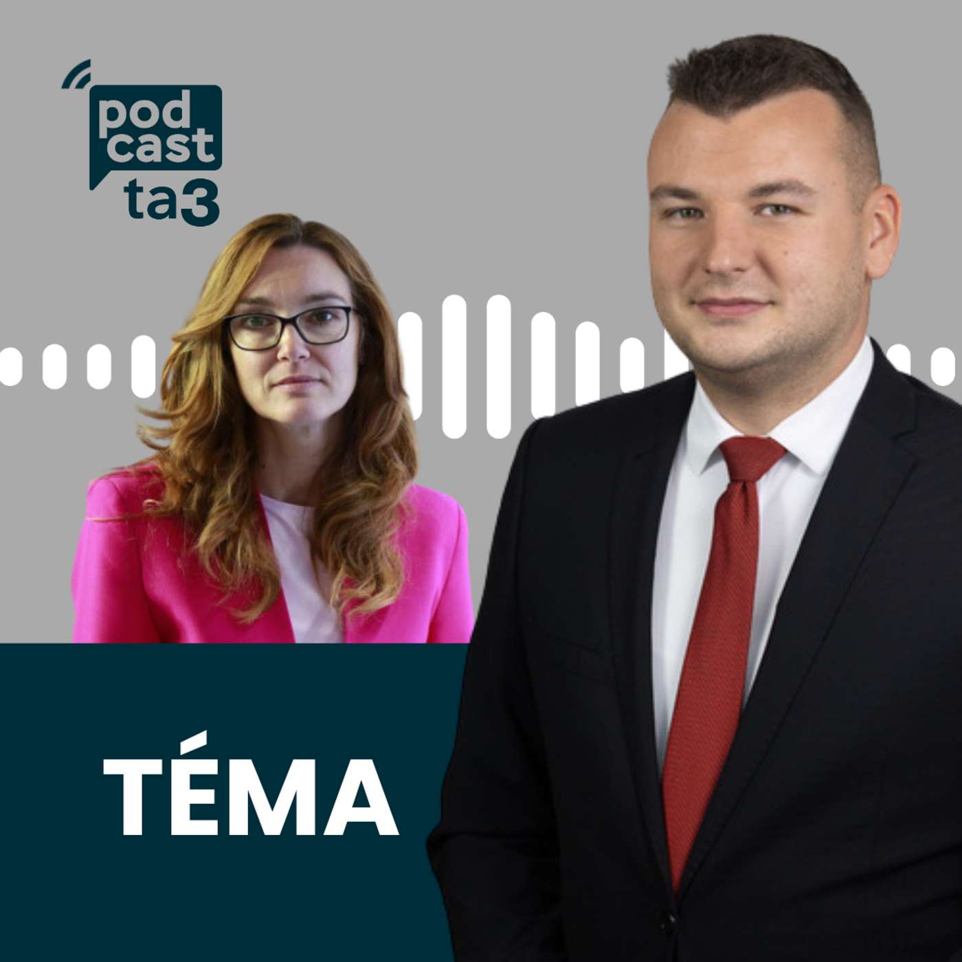 Téma: Aneta Világi - Ďalšie turbulencie v koalícii episode artwork
