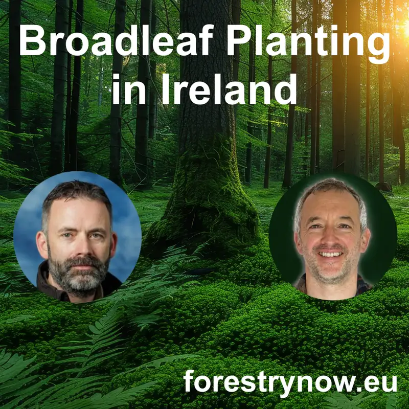 Broadleaf Planting in Ireland with Colm Gilheaney