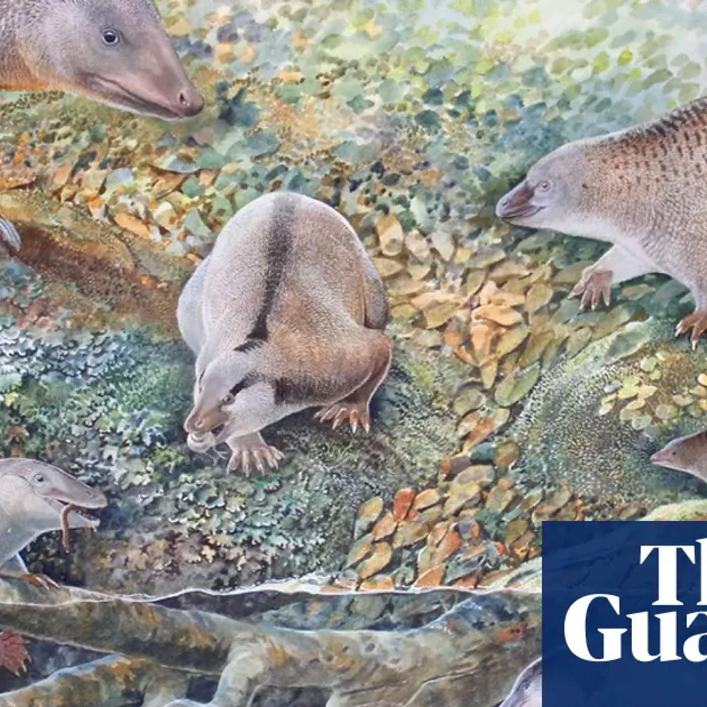 FLiRT Covid Variant Surge, French Researchers Revolutionize Clustering, New Ancient Monotreme Species Discovered, Cosmic Bounce Model Proposal, and more...