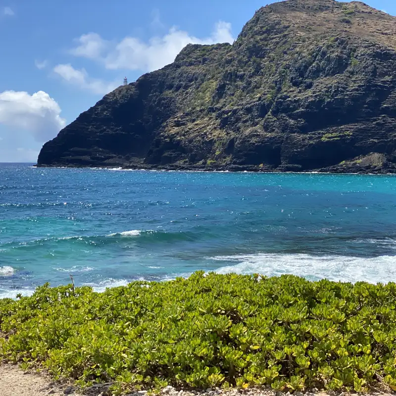 Words of Wisdom #4: Life Lessons, Truth Bombs & Modern Proverbs