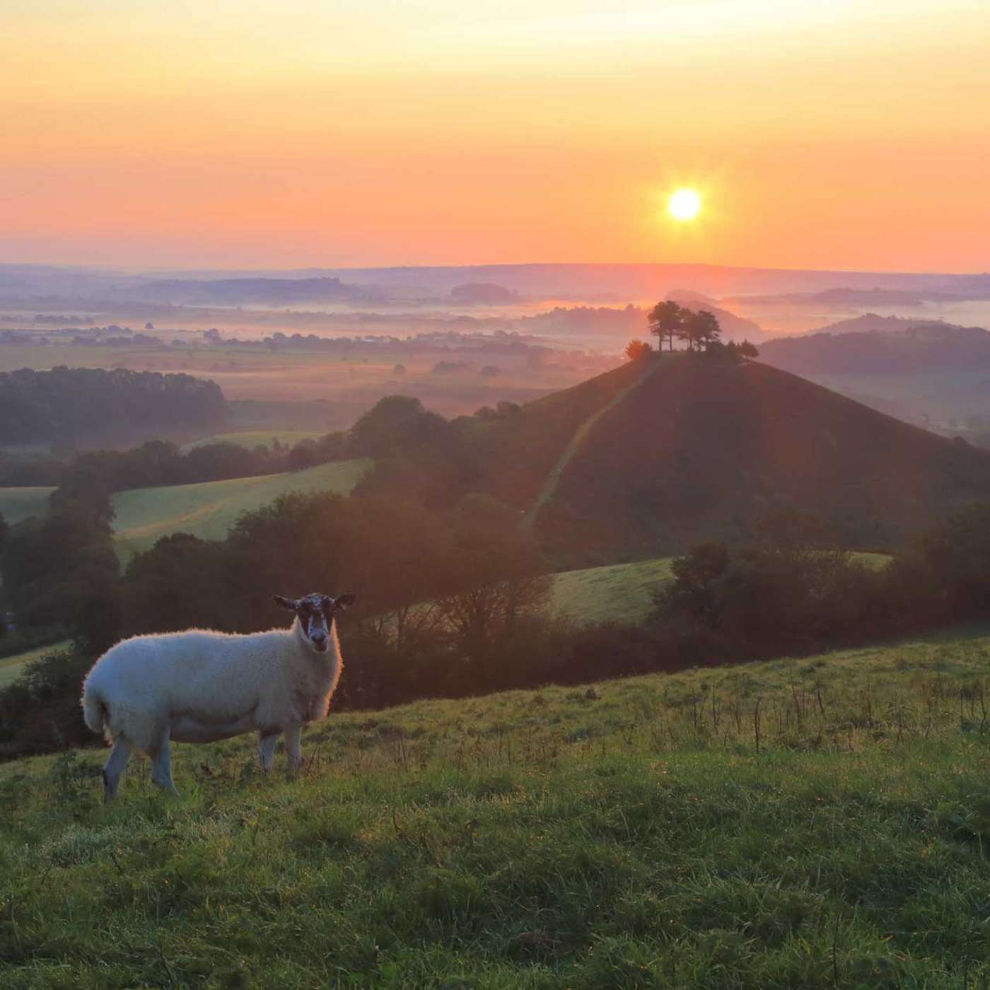 Living in a Post-Carbon, Post-Capital, Post Urban world - with Chris Smaje, author of A Small Farm Future