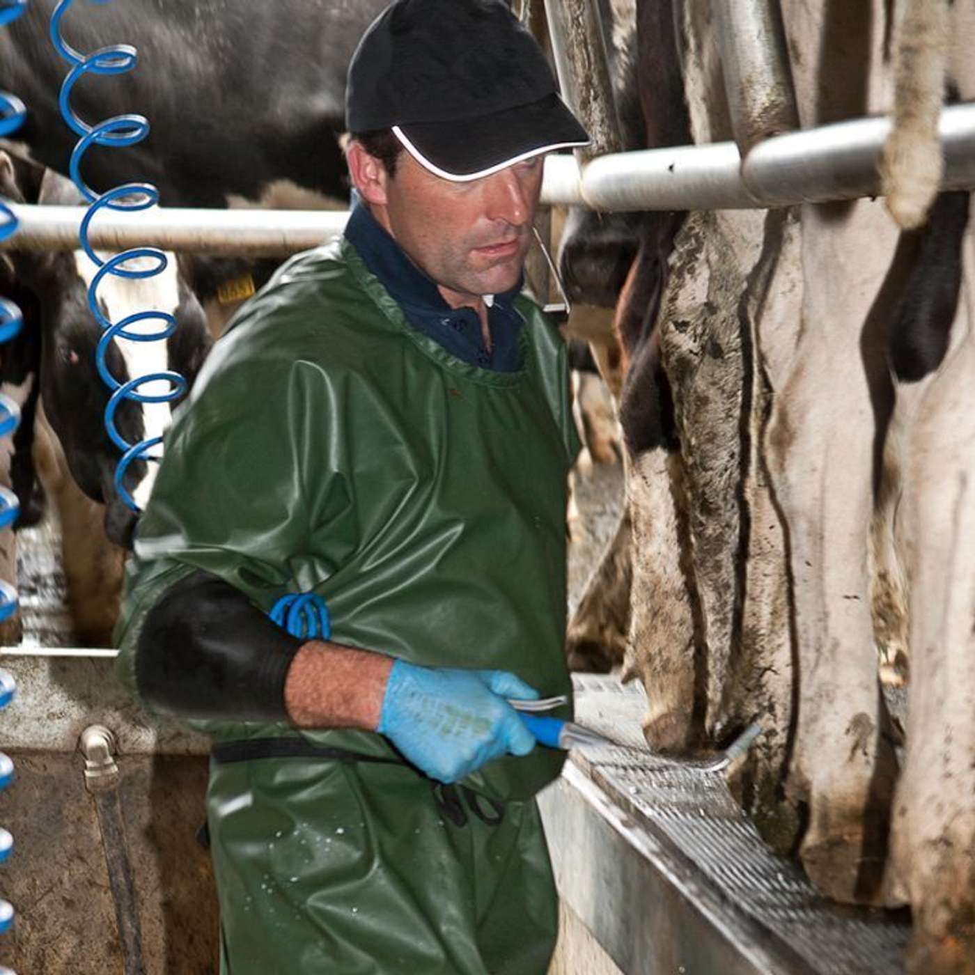 How to achieve a greater work-life balance through reduced milking frequency