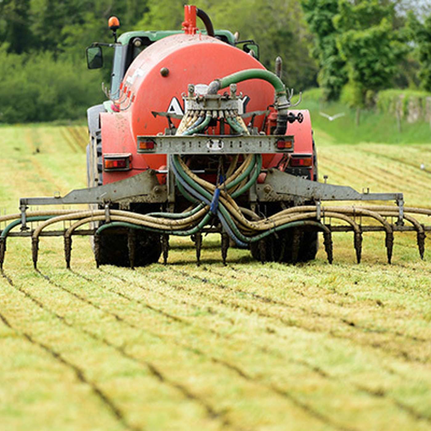 Strategies to cope with rising fertiliser prices