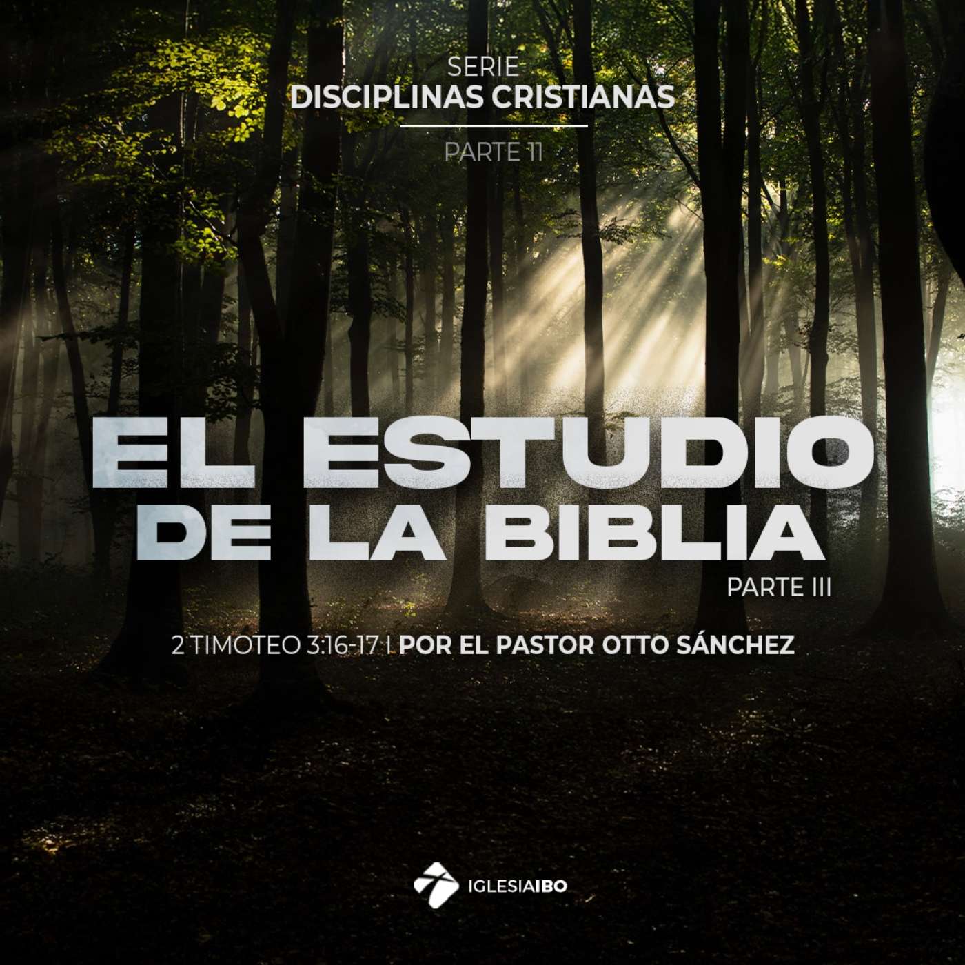 El estudio de la Biblia | Disciplinas Cristianas - Parte 11