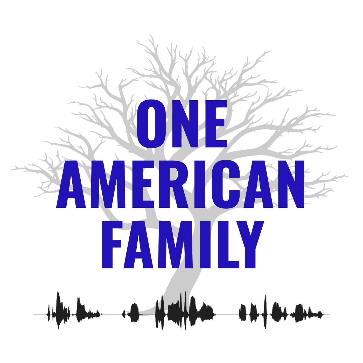 One American Family