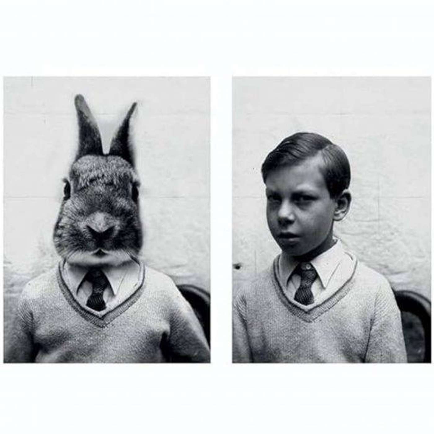 Radio Têtards #173 I Pièce radiophonique I Simon La Gadouille Radio Têtards #173 I Pièce radiophonique I Simon La Gadouille