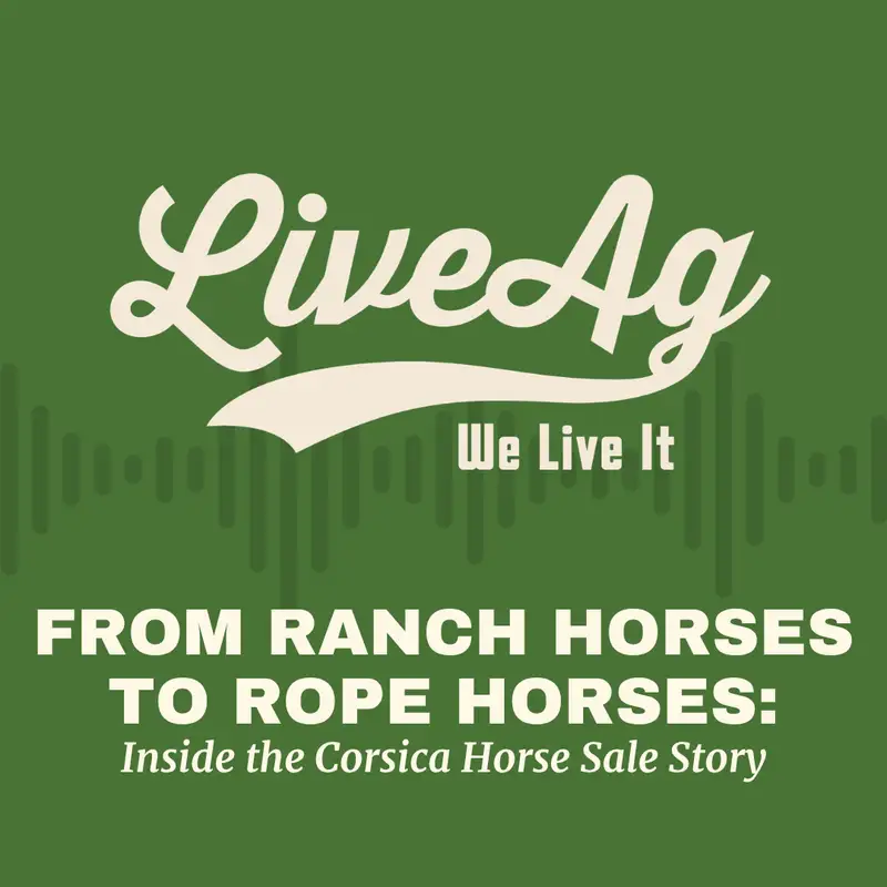 From Ranch Horses to Rope Horses: Inside the Corsica Horse Sale Story