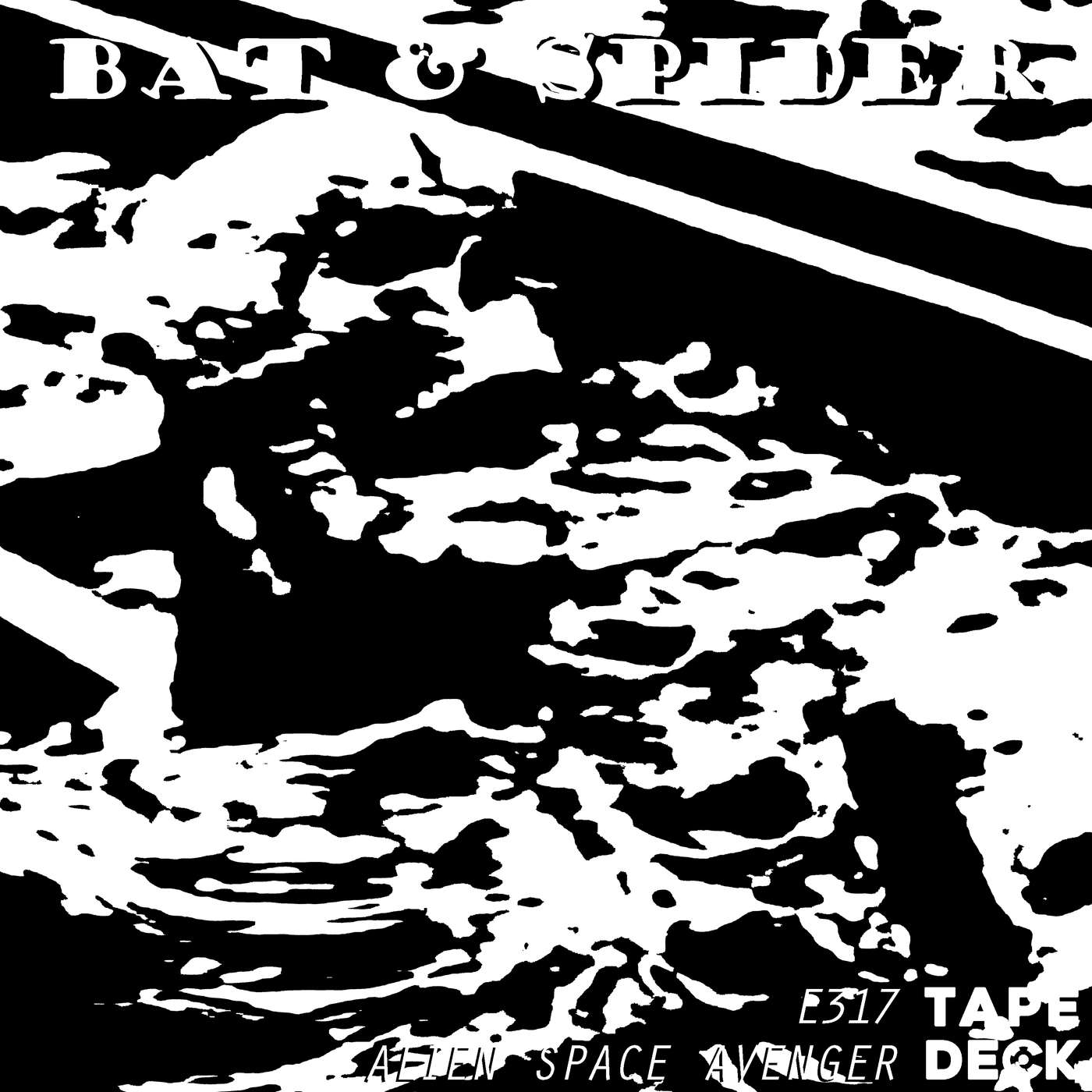 Artwork for BAT AND SPIDER