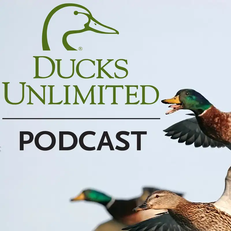 Ep. 10 – Urban Mallard Research with Dr. Ben O’Neal (Part 2 of 2)