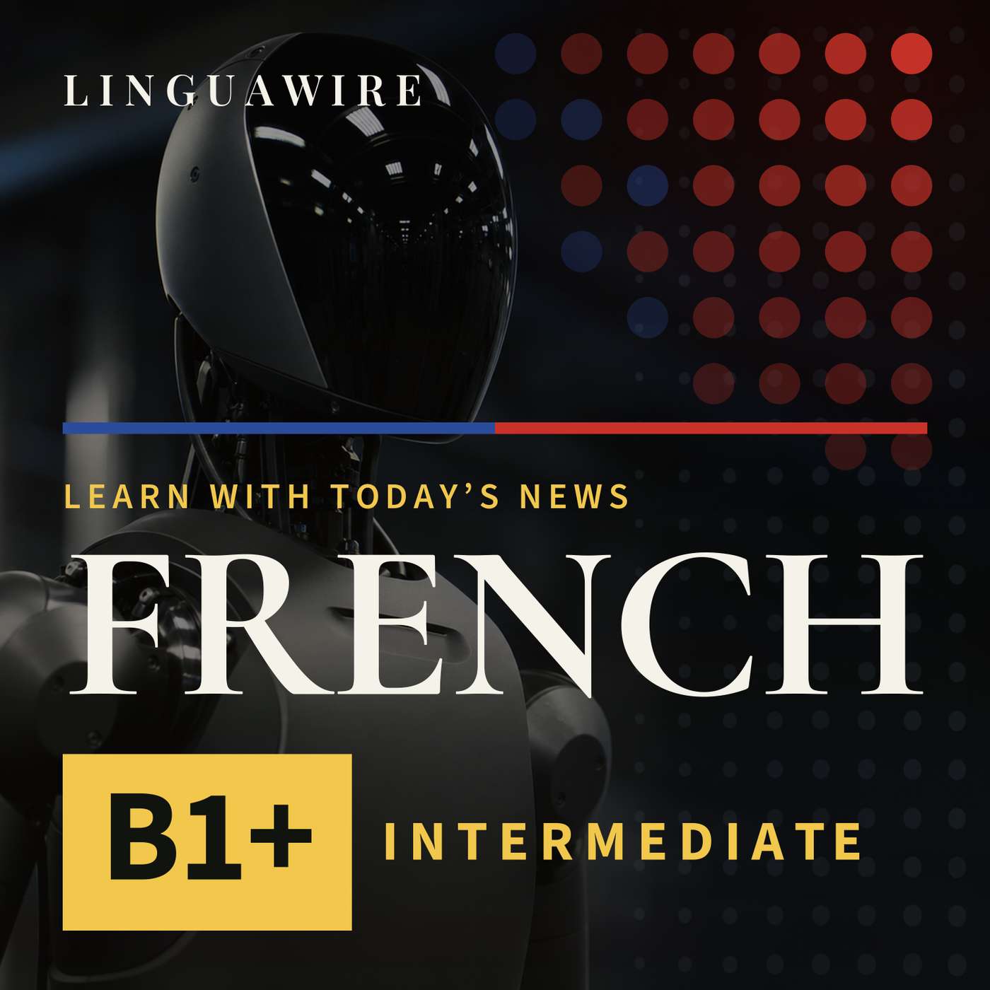 B1 French News | RoboStore Makes Robots in the US After Ban