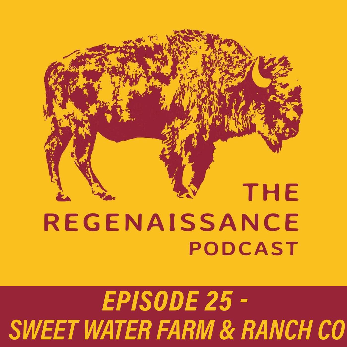 The Regenaissance Podcast