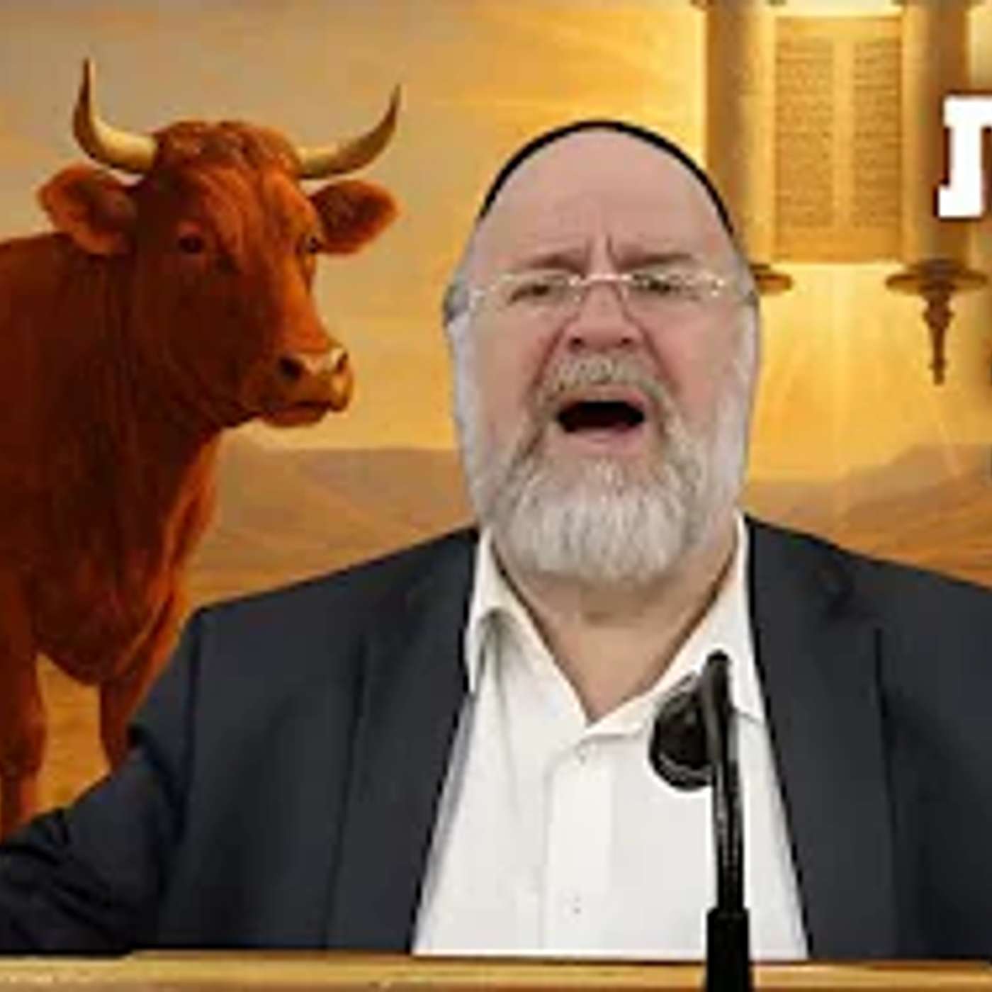 הרב ברוך רוזנבלום - מדרשים וסיפורים מיוחדים לפרשת חוקת תשפ"ד - שיעור מומלץ ביותר !!