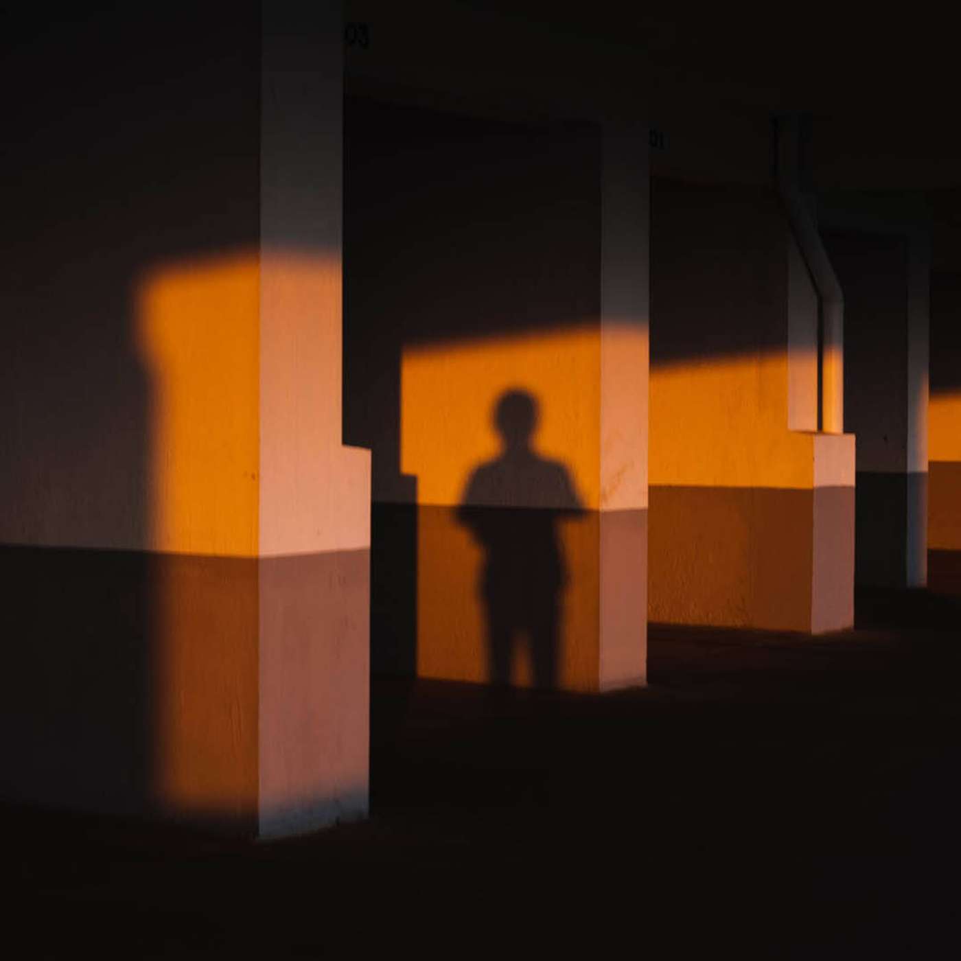 TFL BLOG | Witness and Marginalized Communities episode artwork
