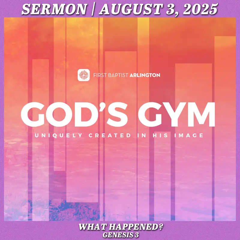 What Happened? - August 3, 2025