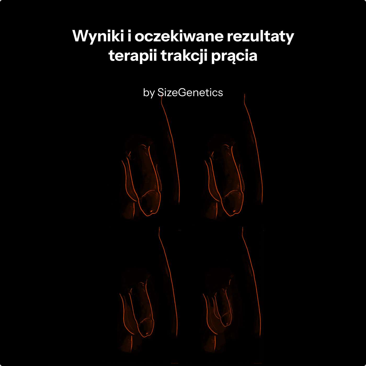 Wyniki terapii trakcyjnej prącia (15+ badań klinicznych) | SizeGenetics episode artwork