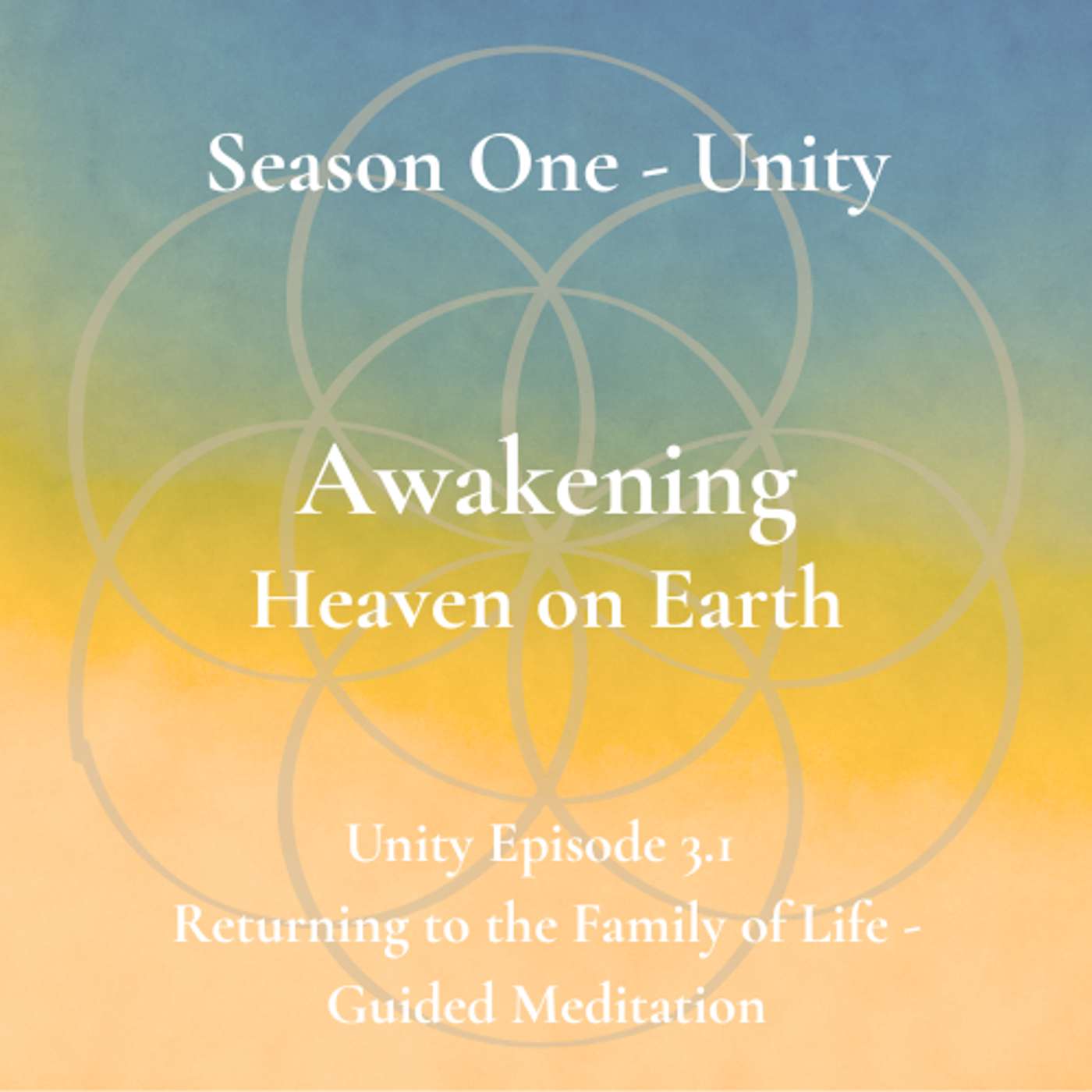 Unity Episode 3.1 - Returning to the Family of Life - Guided Meditation episode artwork