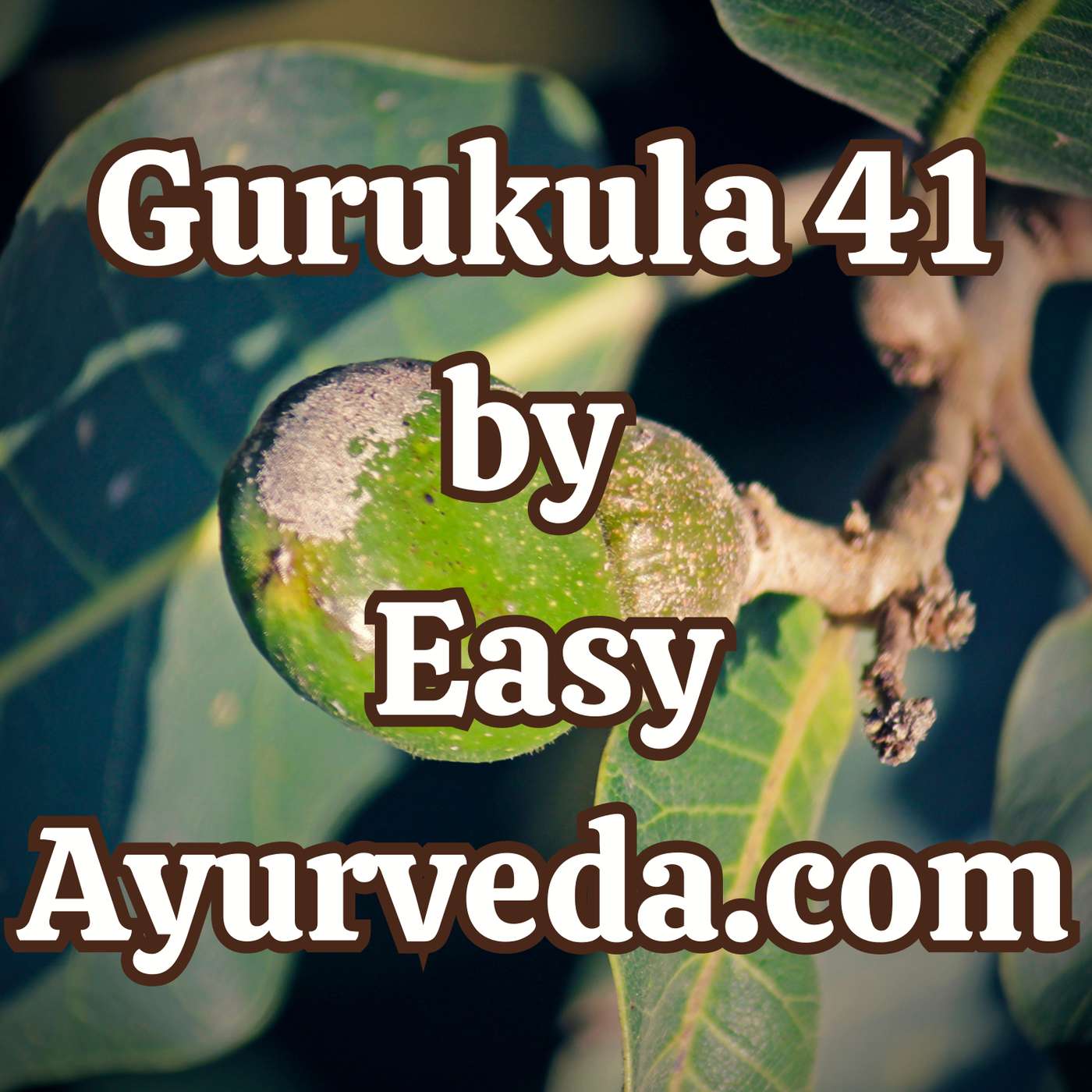 Gurukula 41: Different methods of using Bhallathaka and its different preparations episode artwork