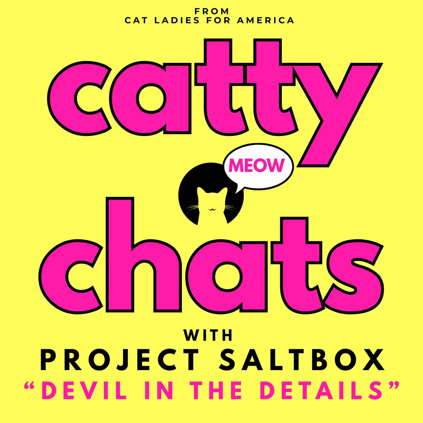 PROJECT SALTBOX, DEVIL IN THE DETAILS episode artwork