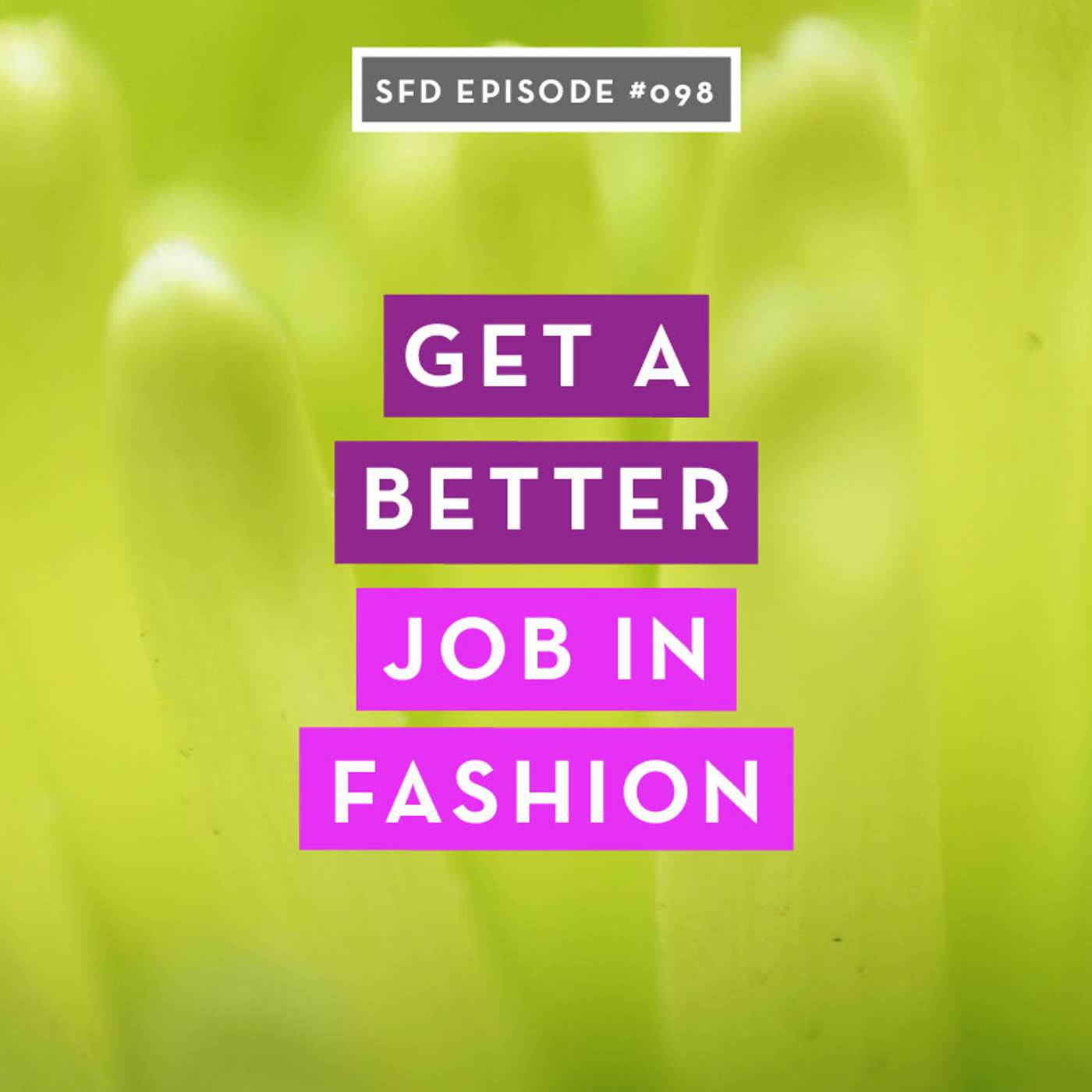 Fashion Designers Get Paid: Build Your Fashion Career On Your Own Terms