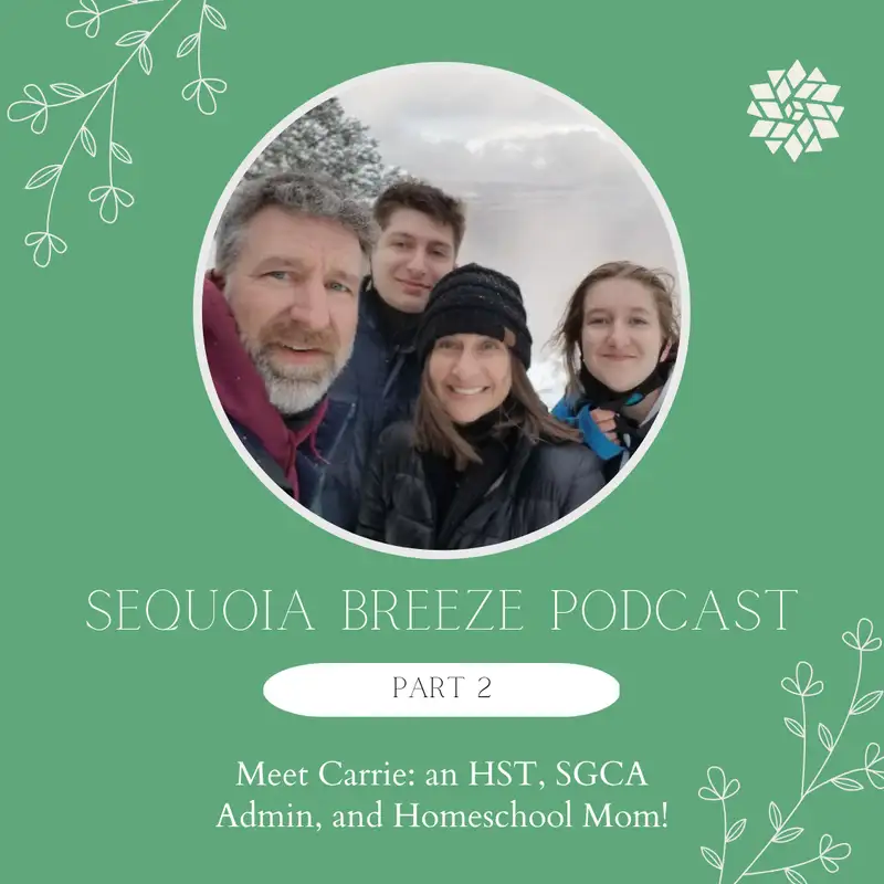 A Glimpse Into a Homeschool Journey, Episode 2