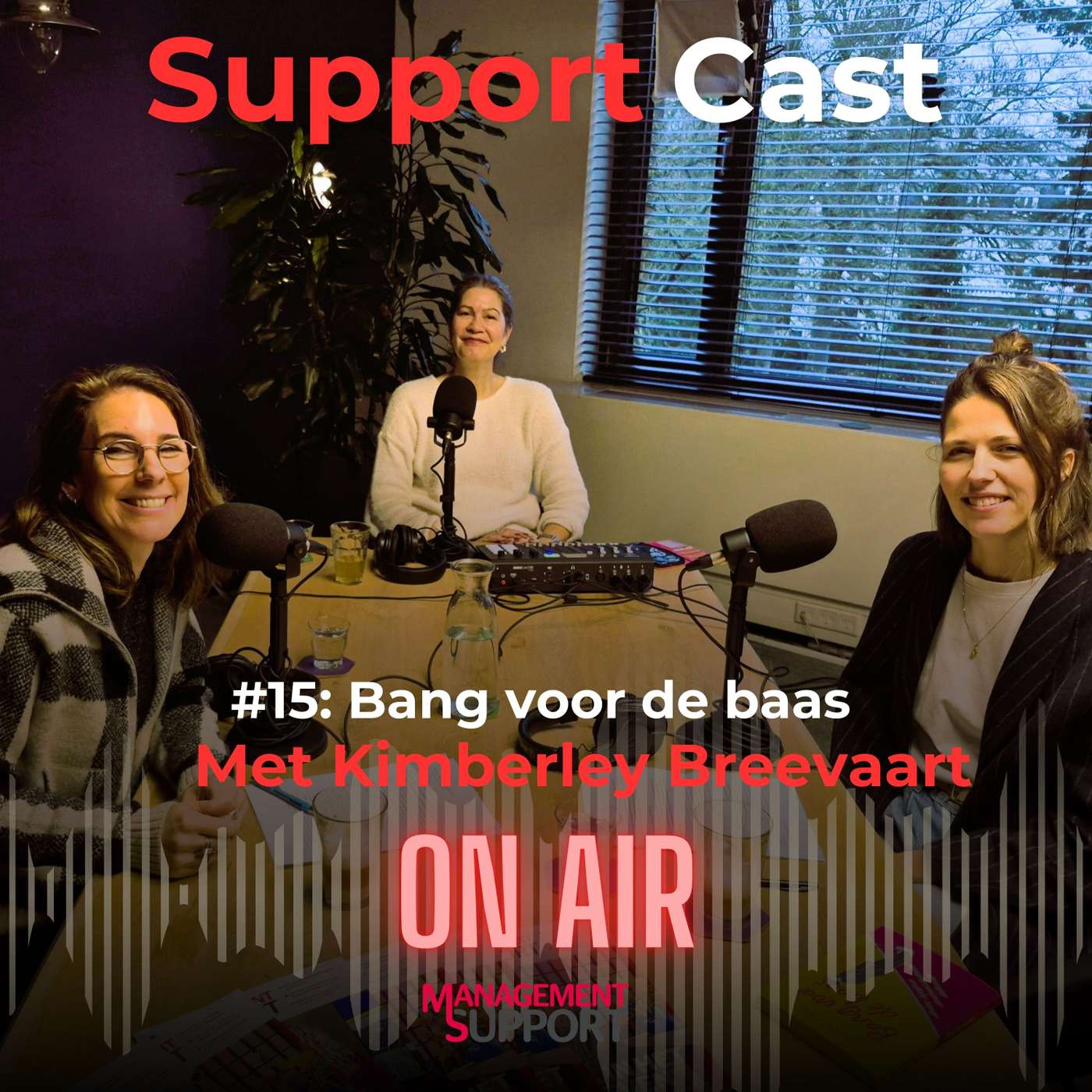 #15 Bang voor de baas; waarom destructief leiderschap zoveel meer schade aanricht dan we denken