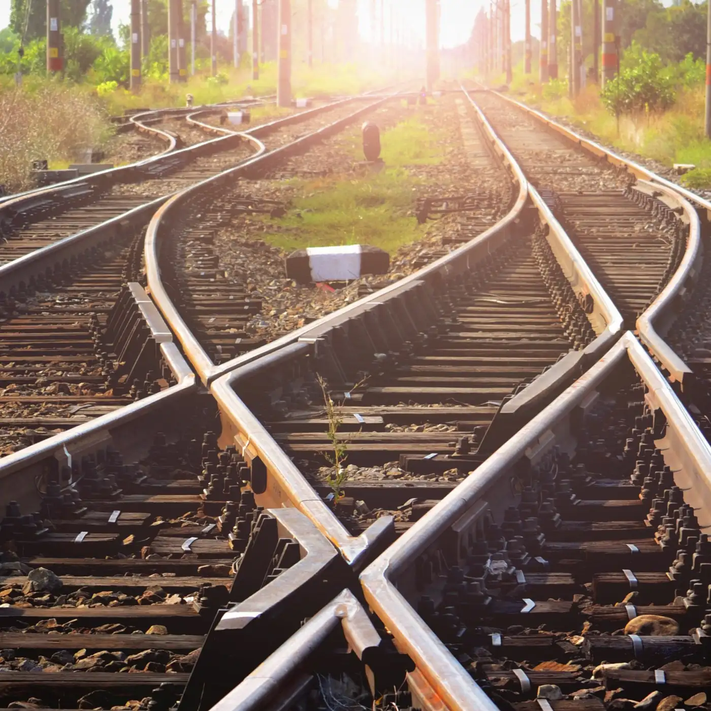 AI Ethics, the Trolley Problem, and a Twitter Ghost Story with Joshua Greene And Iyad Rahwan