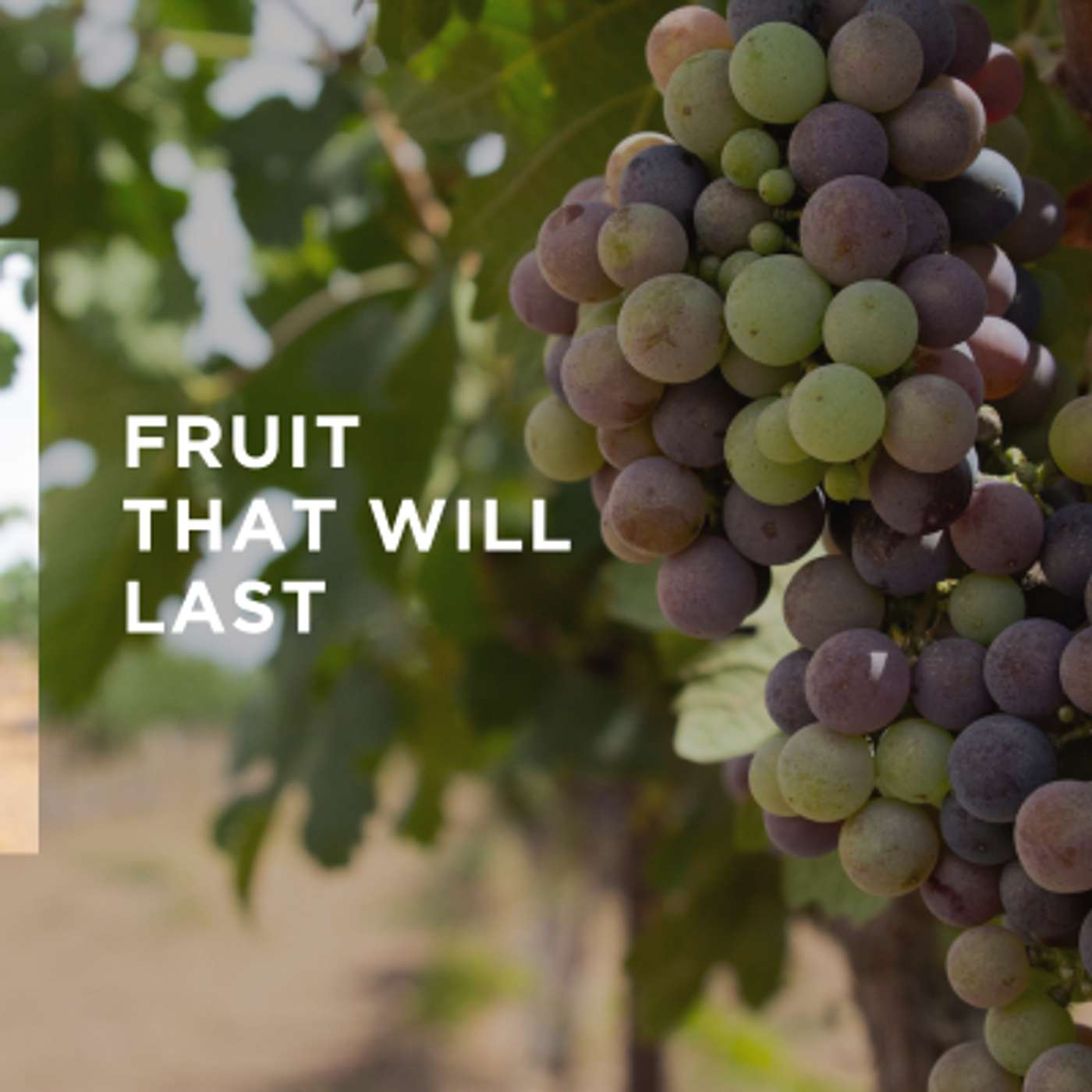 Elm City Vineyard Church Talks