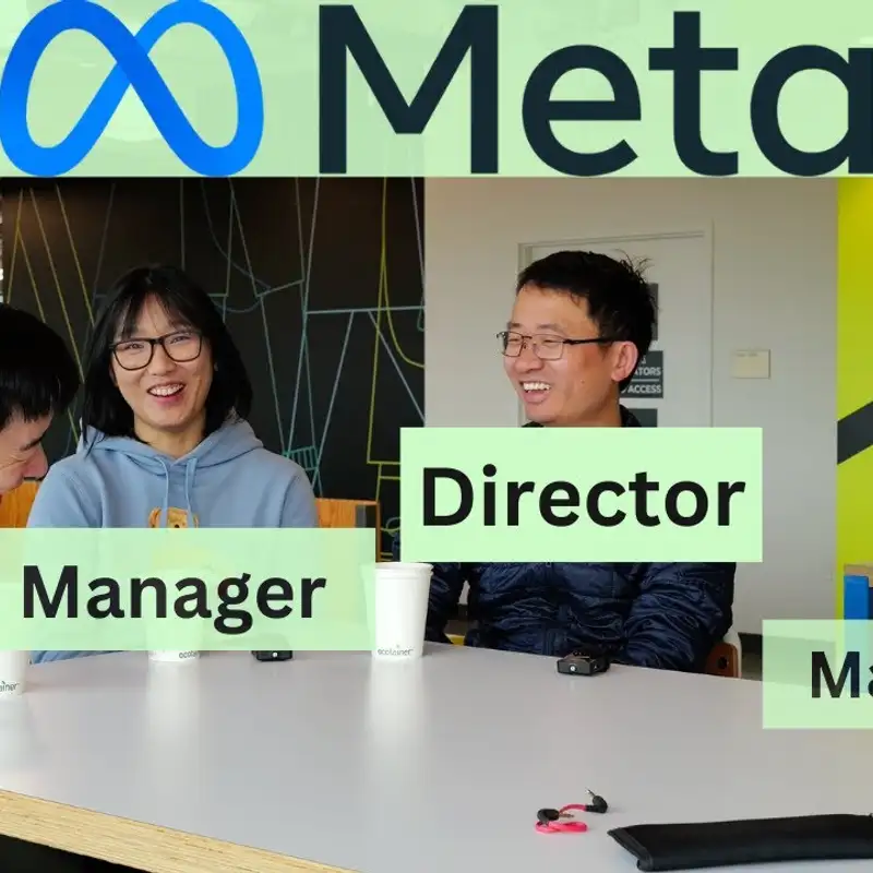 E286. 怎样才是Meta DS Manager眼中的好IC？