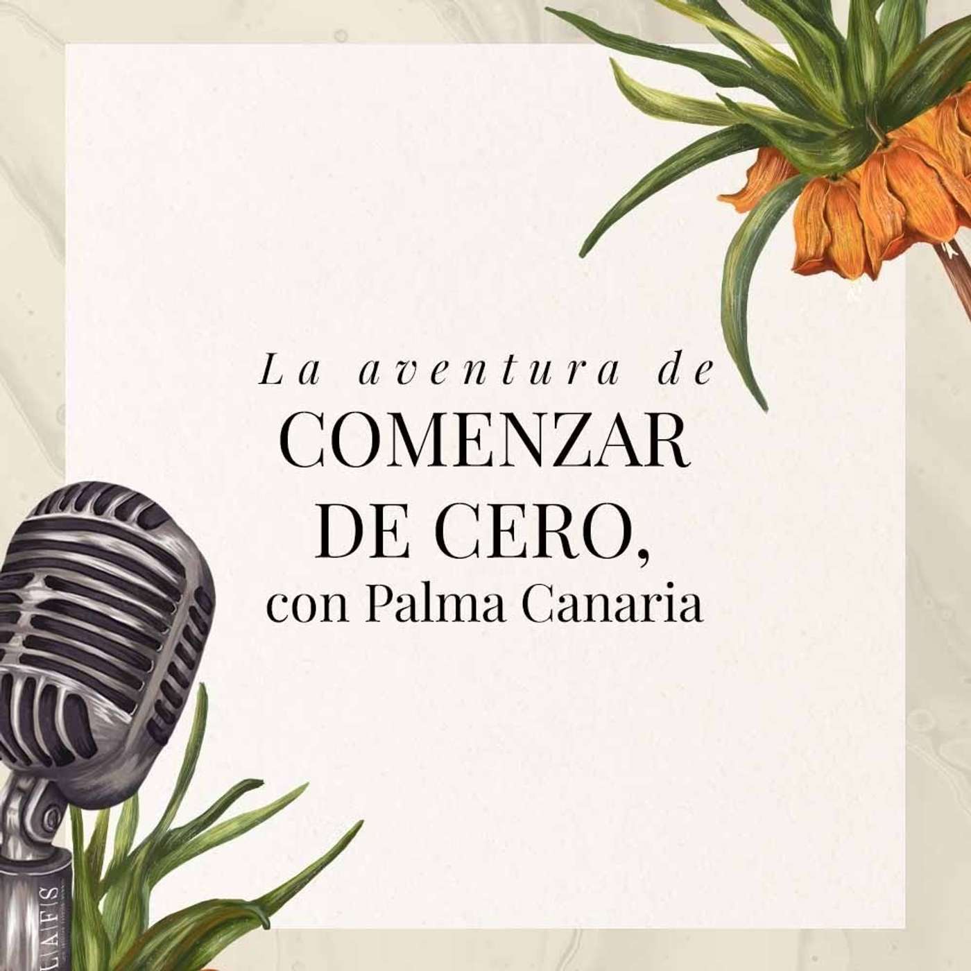 La aventura de comenzar de cero, con Palma Canaria episode artwork