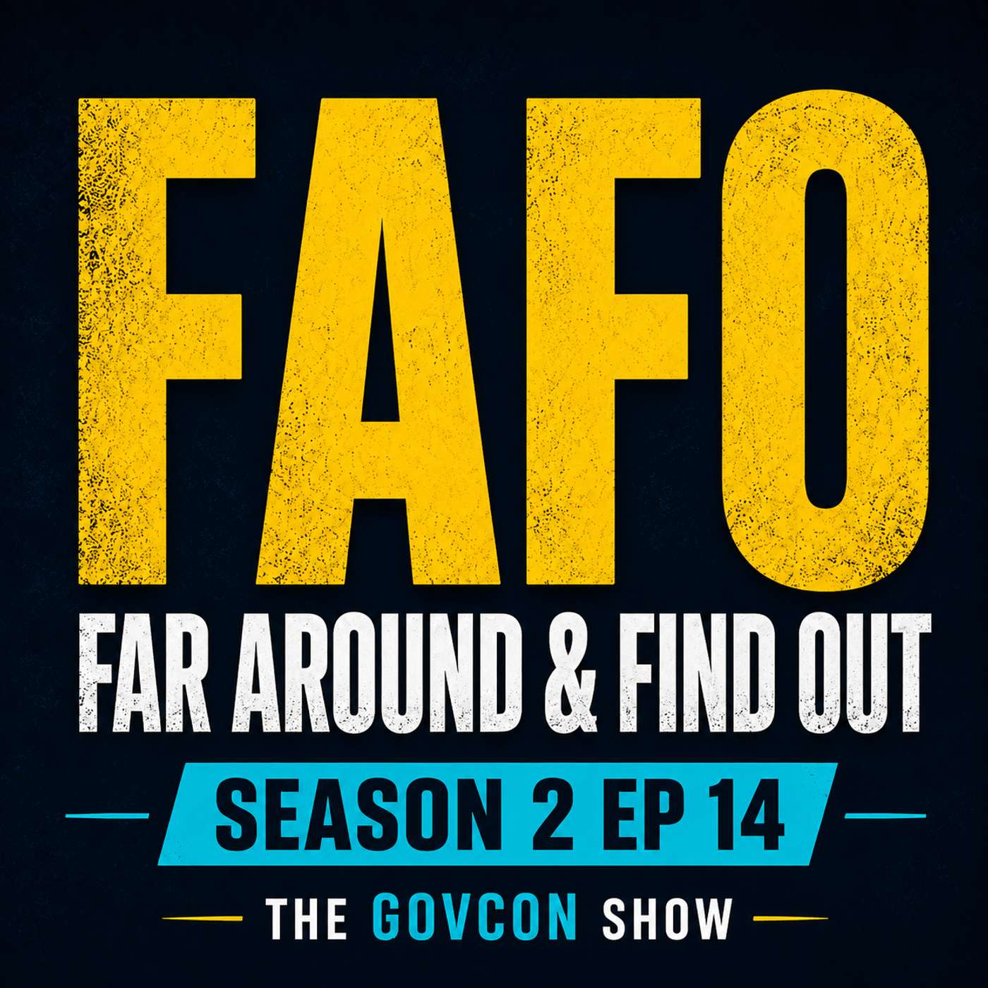 The GovCon Show