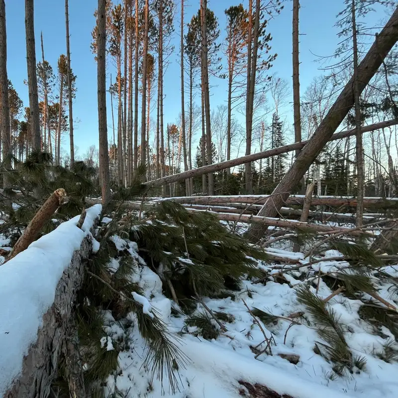 Winter Storm Aftermath Along The North Shore