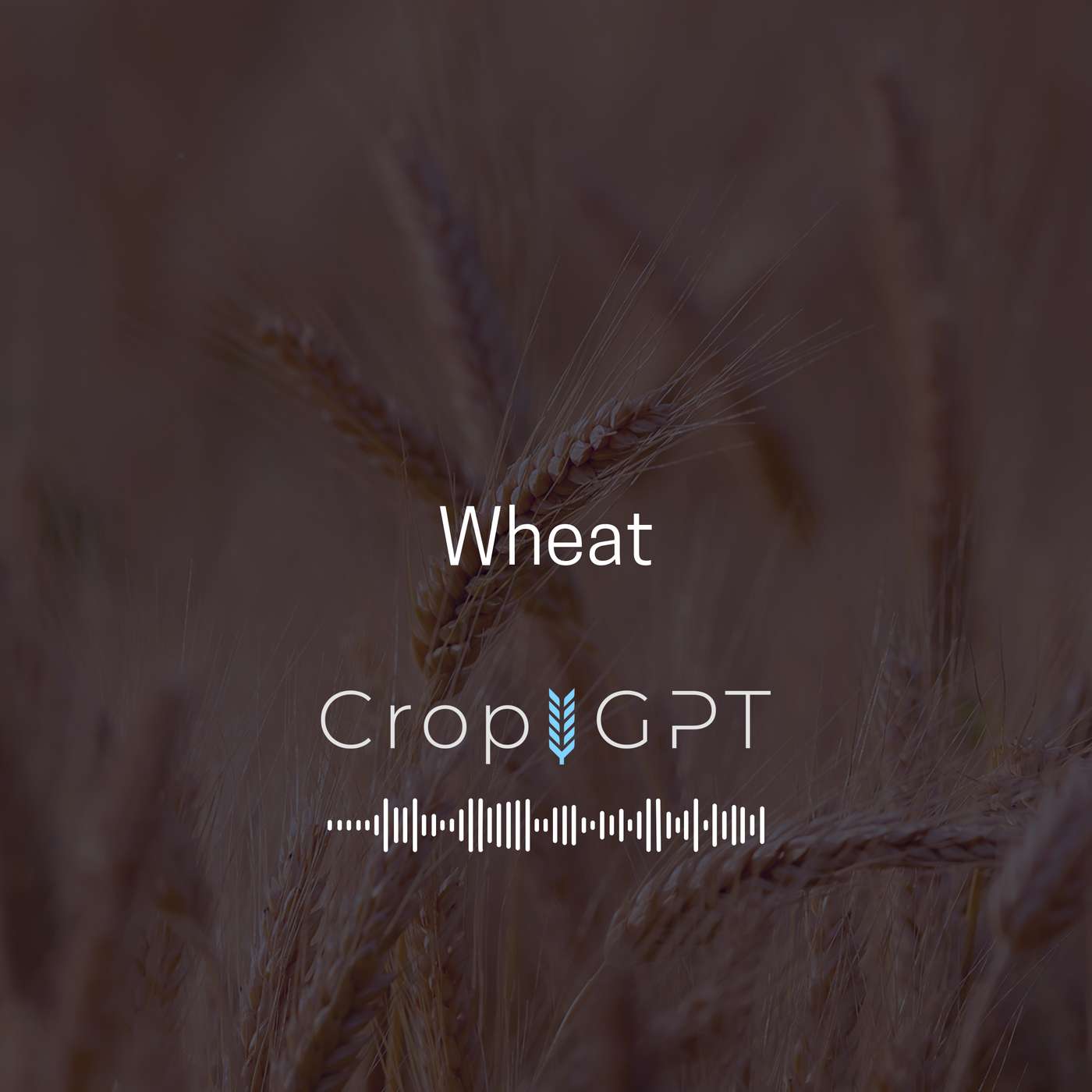 CropGPT - Podcast for Commodities