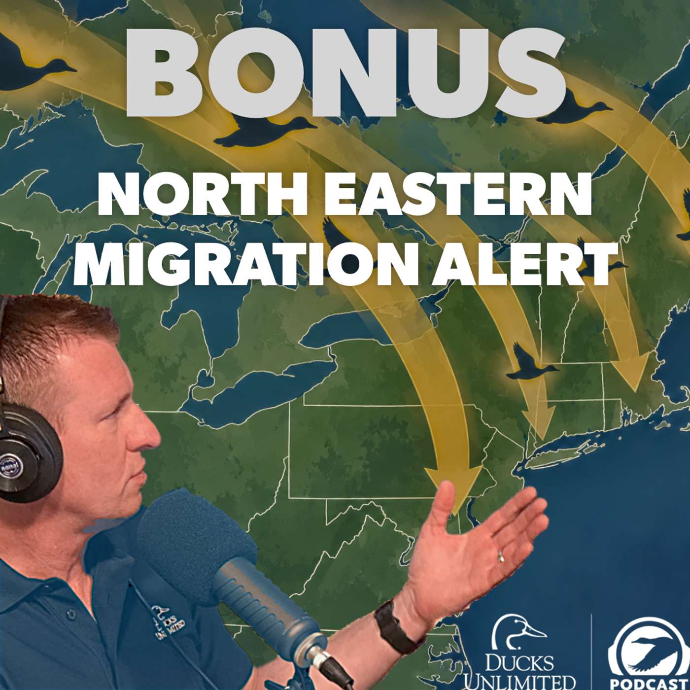 Northeast Migration Update: Black Ducks, Geese & Late-Fall Outlook