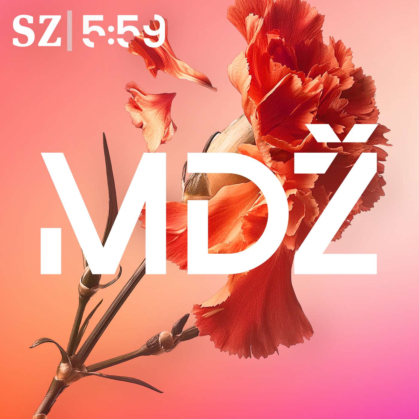 MDŽ: Dělnice neplacené práce