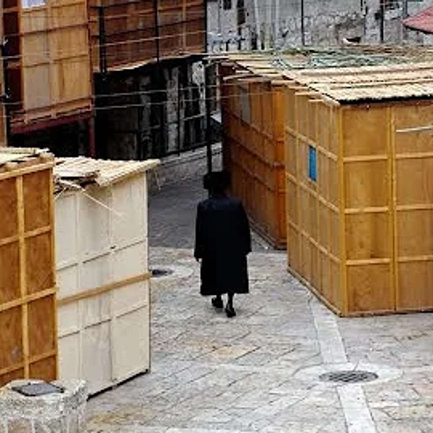הסכך עף בחג – מה עושים עכשיו? ▪️הרב נחמנסון▪️(שטיינבאך שול כפר חב"ד)*** episode artwork