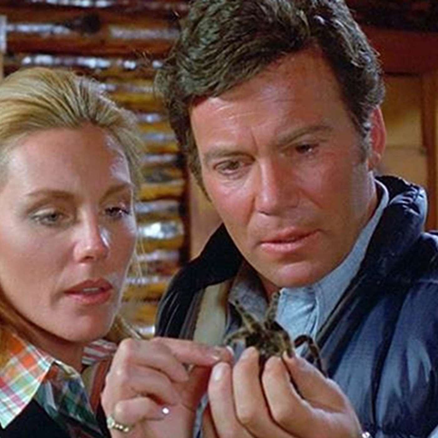 S11: Episode 4: Kingdom of the Spiders