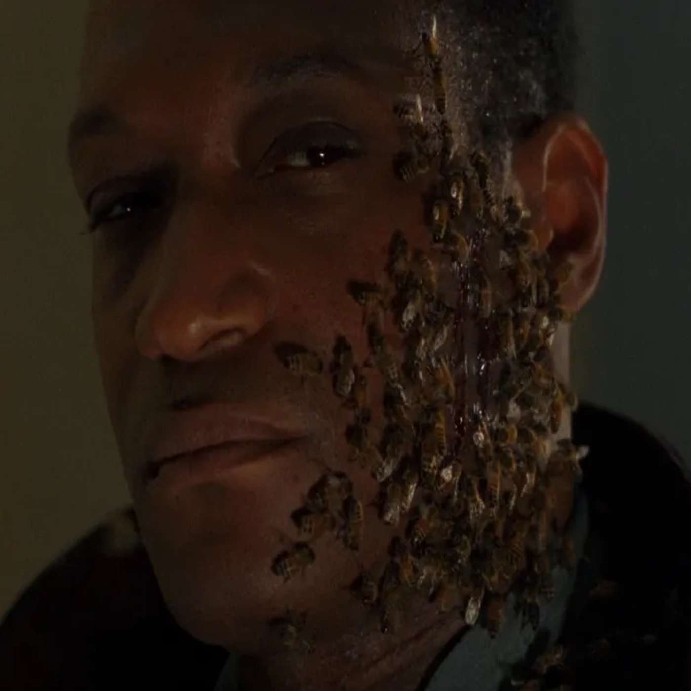 Candyman Candyman Candyman Candyman C... Candyman Candyman Candyman Candyman C...