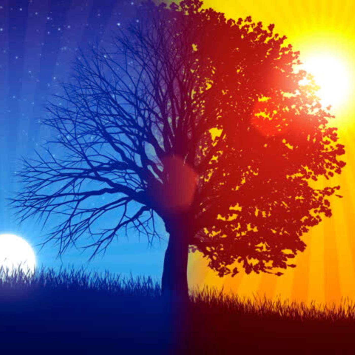 Customer-Centric Marketing and Revenue Management: Looking at Growth Beyond ARR